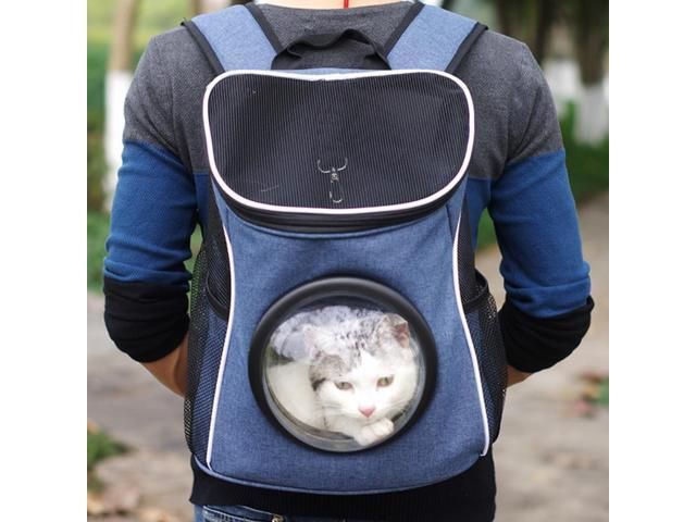 A cat looking out of a bubble window in a backpack carrier